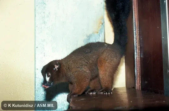 Side view of male Side view of male