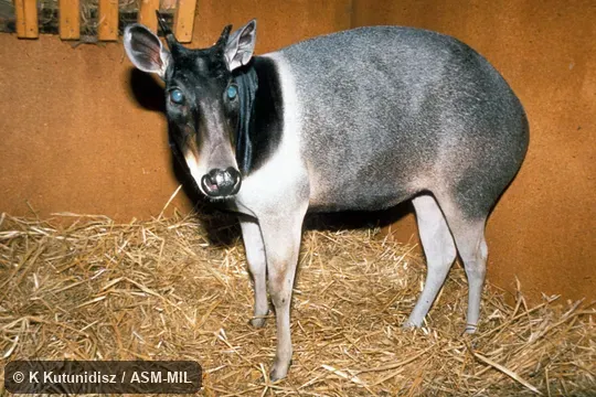 Oblique view of female standing