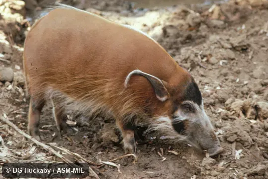Side view of female, standing Side view of female, standing