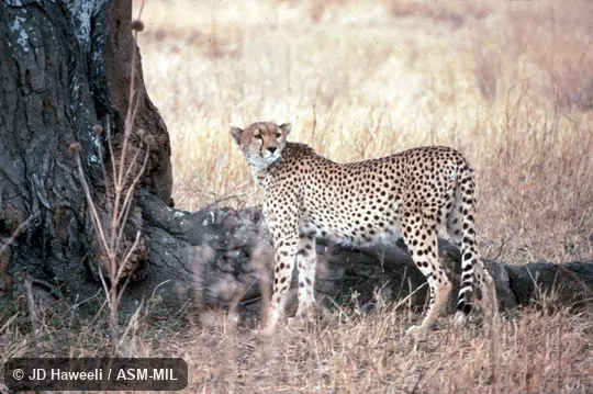 Standing, side view