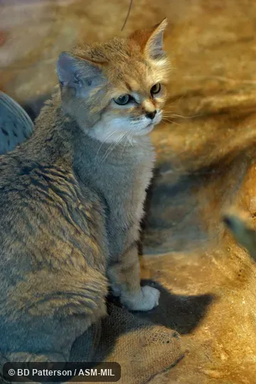 Side view of sitting adult, showing face Side view of sitting adult, showing face
