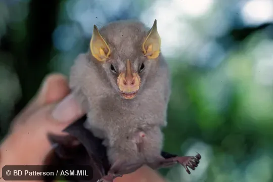 Adult male, handheld, face visible Adult male, handheld, face visible