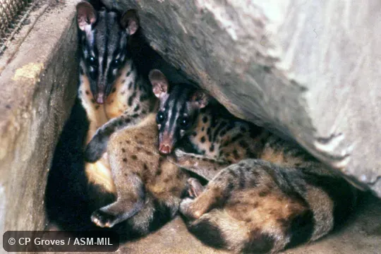 Two adults Two adults