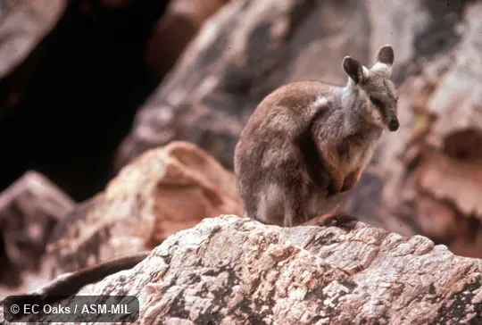 Oblique view Oblique view