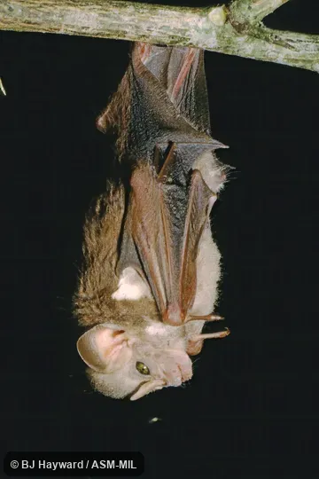 Probably WNMU 6047. Probably WNMU 6047.