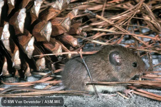 Side view of captive Side view of captive