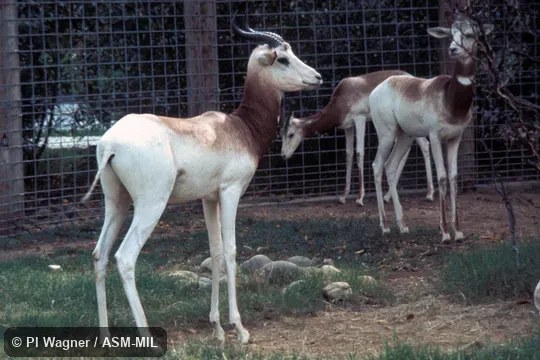 Oblique view of three adults Oblique view of three adults