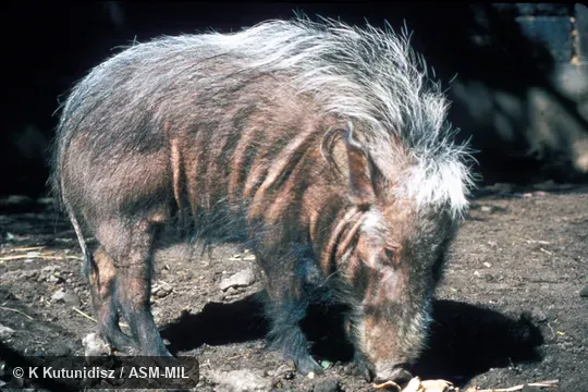 Side view of female Side view of female